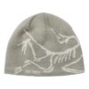 Arc"teryx Bird Head Toque "Grey"