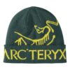 Bird Word Toque "Lampyre Pytheas"
