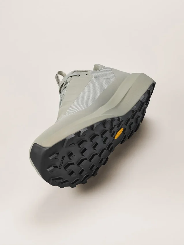 Norvan LD 4 GTX-skor för män