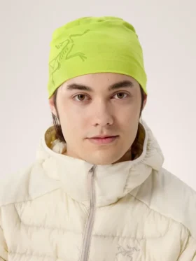 Satoro Merino Toque
