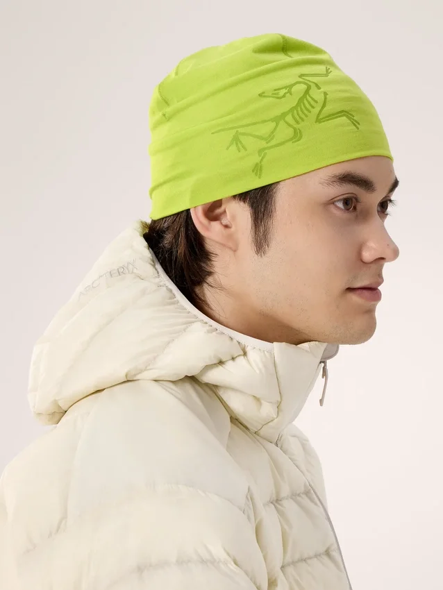 Satoro Merino Toque
