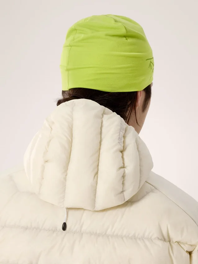 Satoro Merino Toque