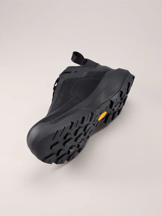 Vertex Alpine GTX-skor för herr
